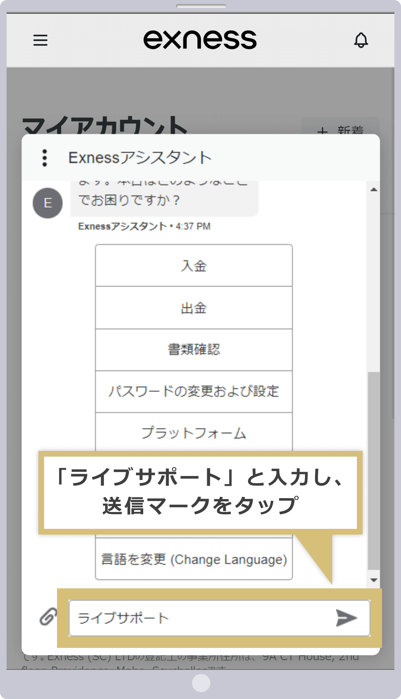 「ライブサポート」と入力