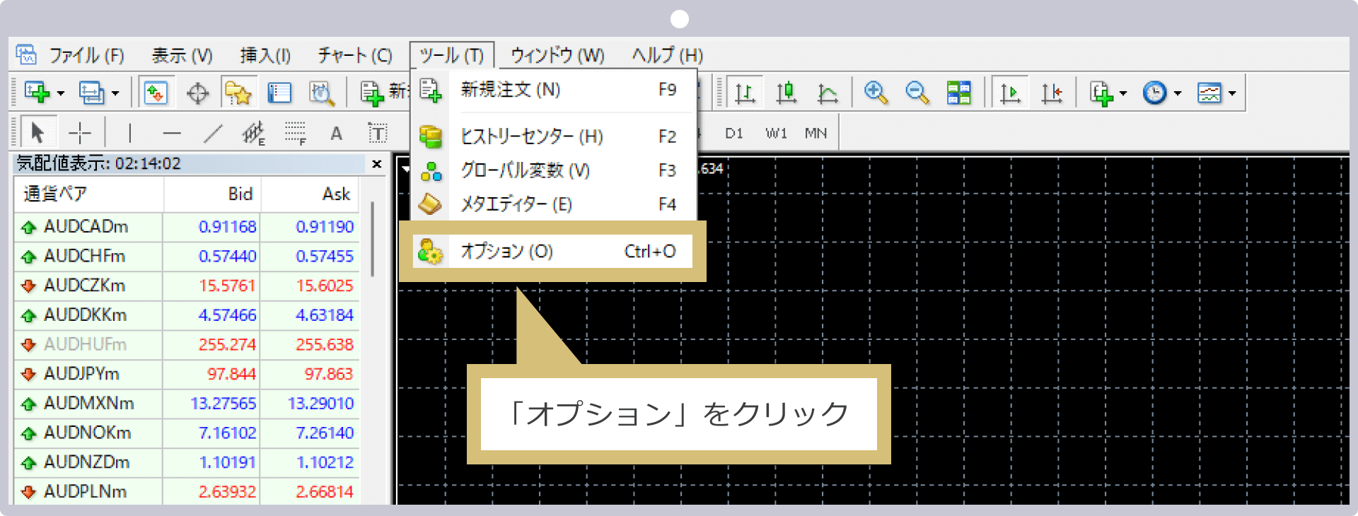 オプションの設定